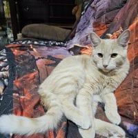 0d0cb31a 940f 4838 B9b3 87283e748a61