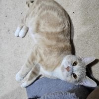 1684c743 1769 4de7 B73d 18ed60101e04