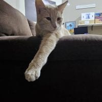 59b44e76 542f 4067 Af5f 3bdc54910831