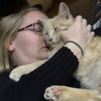 6cf23691 6f39 4e7d Bd4b 2b7f3a61a13c