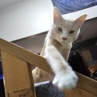 74f3fa58 68f8 42fd 9230 Bc12d765a32f