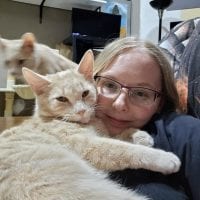 7b87ec07 D968 49dd 95d5 C4e3106eda49