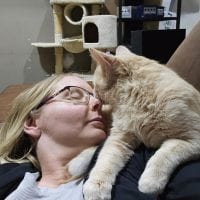 7e968340 Ac59 4ce4 Aac3 68aee0721c94