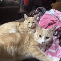 900051e6 C6f0 476d 8cc6 Be20212b01d5