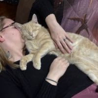 9258d492 5521 488d B109 51f779dbcb1b