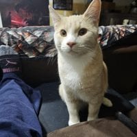 9c8314c6 1259 4b83 8ca7 1a525f90d0f9