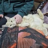 Ab4d00ba Bd2e 4e2a 8ecd 25eaf7416978