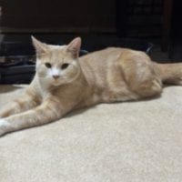 B6b3c93f F59c 496f A8b8 606275c4054a