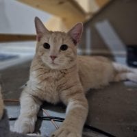 B7e24f9e D213 47b8 Ad52 0f346c9e18e0