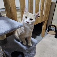 Cd955bff 8b03 4416 9687 Fb9ebaf1a151