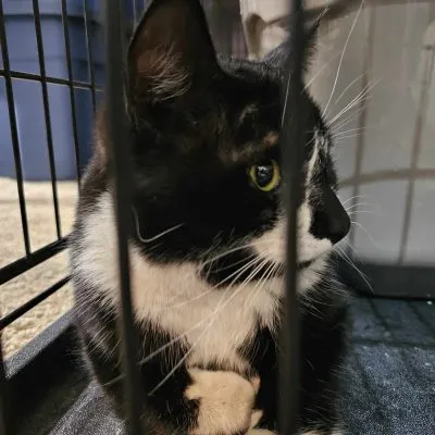 434241857 1825713351188667 5547181422070378944 N