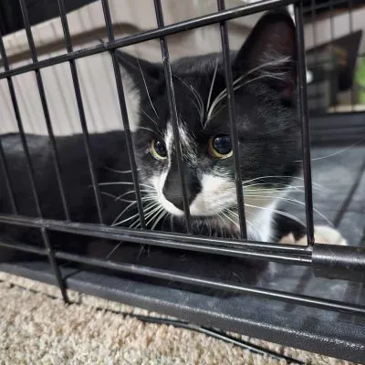 434317537 938461178019519 8913086931641581028 N