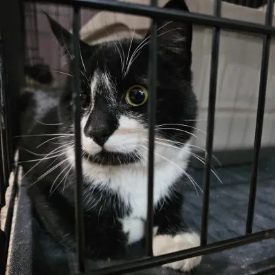 434482204 1061170601653722 7395358881963670961 N