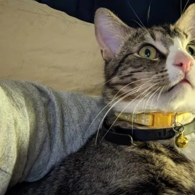 434385227 1113312299717488 1759136329351506728 N