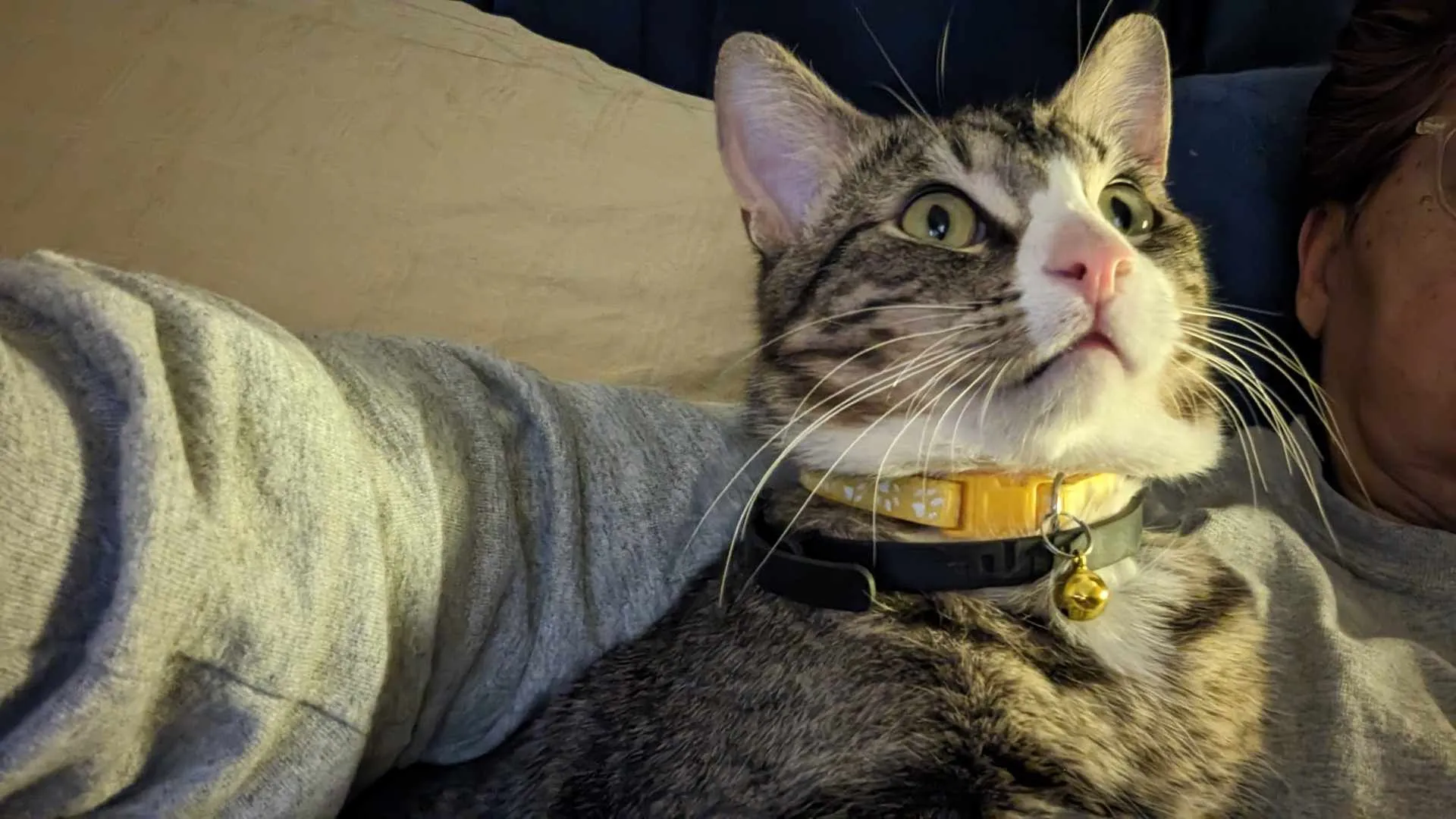 A Rescue Success Story: Charlie