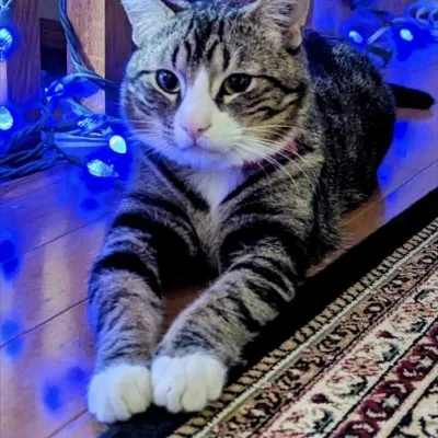 437185017 416793477623382 2240015467186407750 N