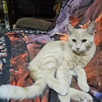 0d0cb31a 940f 4838 B9b3 87283e748a61 0d0cb31a 940f 4838 B9b3 87283e748a61