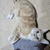 1684c743 1769 4de7 B73d 18ed60101e04 1684c743 1769 4de7 B73d 18ed60101e04