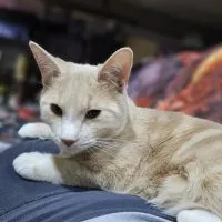 3c900cfc 97c8 4a73 A574 Ffbc8d97057a 3c900cfc 97c8 4a73 A574 Ffbc8d97057a