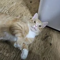 4b7b0152 50f0 4fb3 Aa0d 9b79d63bef5d