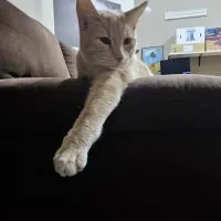 59b44e76 542f 4067 Af5f 3bdc54910831 59b44e76 542f 4067 Af5f 3bdc54910831