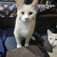 88096cc8 838e 4f17 B295 95fa7ab605a4 88096cc8 838e 4f17 B295 95fa7ab605a4