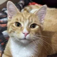 91dcfe6f 9dd5 424b Aee6 683805f267d0