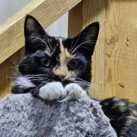 A2d67df2 5019 4c52 B1b4 7bd9e960b092