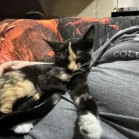 A7b049ac 6bb9 408a 9700 F6f7469ebdf5