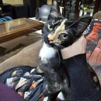 Aa353f9a 6a47 4b4f A32a 70bcdd4a145a