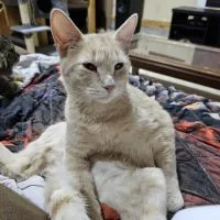 B431bb84 B6e4 4c3d A6fc 6eea0e5bec04 B431bb84 B6e4 4c3d A6fc 6eea0e5bec04