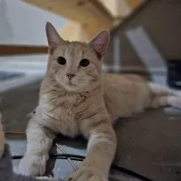 B7e24f9e D213 47b8 Ad52 0f346c9e18e0 B7e24f9e D213 47b8 Ad52 0f346c9e18e0