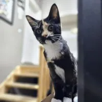 Bd77ee4f 0851 4c65 Af4d F966c5002668