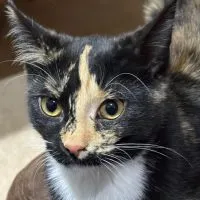 Bfe215c5 30fc 44b0 B229 83e3b71d7ab5