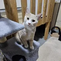 Cd955bff 8b03 4416 9687 Fb9ebaf1a151 Cd955bff 8b03 4416 9687 Fb9ebaf1a151