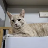 D0a58787 Cccb 48f0 Af13 A9f708cd8a59 D0a58787 Cccb 48f0 Af13 A9f708cd8a59