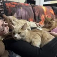 Df4bdf96 D64f 4159 98a4 06c289e44e1d Df4bdf96 D64f 4159 98a4 06c289e44e1d