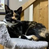 F8b57052 F1e8 4d3d B5f9 71b4ef184b0c