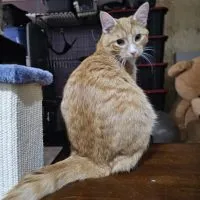 Fd2ac836 83f8 4783 Bfef 7b7808bed3fd